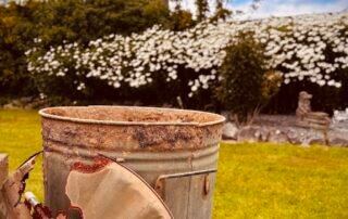 Theatre Summer School 2025 – Alex Theatre Summer School 2025 - Alex