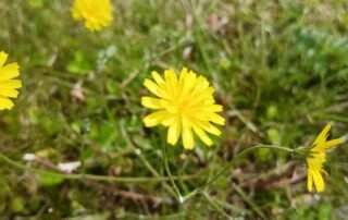 Theatre Summer School 2025 – Niamh Theatre Summer School 2025 - Niamh