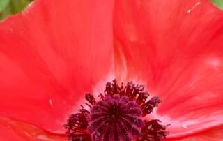 Theatre Summer School 2025 – Sophie Theatre Summer School 2025 - Sophie