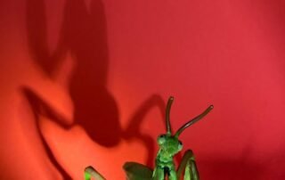 Theatre Summer School 2025 – Willow Theatre Summer School 2025 - Willow