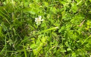 Smartphone Skills and Pinhole Photography & Stop Motion Animation Smartphone Skills and Pinhole Photography & Stop Motion Animation