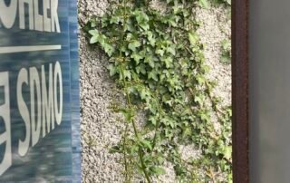 Smartphone Skills and Pinhole Photography & Stop Motion Animation Smartphone Skills and Pinhole Photography & Stop Motion Animation