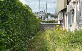 Smartphone Skills and Pinhole Photography & Stop Motion Animation Smartphone Skills and Pinhole Photography & Stop Motion Animation