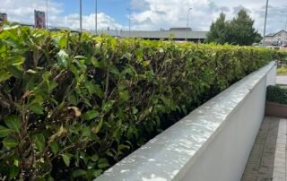 Smartphone Skills and Pinhole Photography & Stop Motion Animation Smartphone Skills and Pinhole Photography & Stop Motion Animation