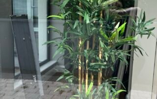 Smartphone Skills and Pinhole Photography & Stop Motion Animation Smartphone Skills and Pinhole Photography & Stop Motion Animation