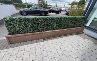 Smartphone Skills and Pinhole Photography & Stop Motion Animation Smartphone Skills and Pinhole Photography & Stop Motion Animation