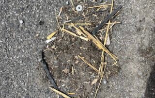 Smartphone Skills and Pinhole Photography & Stop Motion Animation Smartphone Skills and Pinhole Photography & Stop Motion Animation